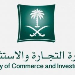 القبض على وافد ظهر في فيديو يوثق تحركاته أثناء مخالفته للنظام بعسير