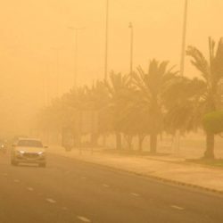 القبض على قائد مركبة ظهر في مقاطع فيديو متداولة يصطدم بعددٍ من المركبات عمدًا في الرياض