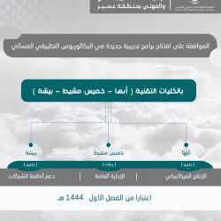 المملكة تعرب عن إدانتها للعنف الجنسي في كافة الأحوال