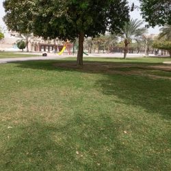 انطلاق أولى طلعات الاستمطار على الرياض والقصيم وحائل