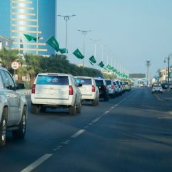 أمانة الشرقية تزرع أكثر من 12 ألف م2 من المسطحات الخضراء لزيادة الغطاء النباتي