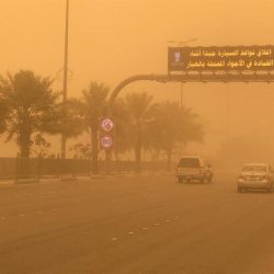 برنامج لوجستيات على UFM