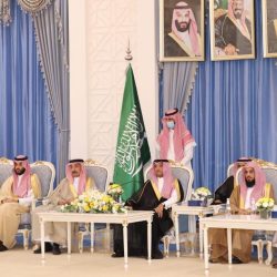 وفد المملكة الدائم لدى الأمم المتحدة يشارك في الندوة الافتراضية للمركز الوطني لتنمية الغطاء النباتي ومكافحة التصحر