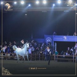 بلدية وسط الدمام تتلف 600 كيلو من التمور الفاسدة