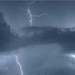 شرطة منطقة الرياض تقبض على مواطن ومقيم لسرقة سيارة وإتلافها بإحراقها