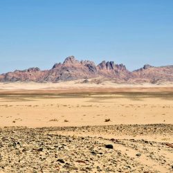 الربيعة : المملكة قدمت مساعدات إنسانية لـ 164 دولة بأكثر من 94 مليار دولار