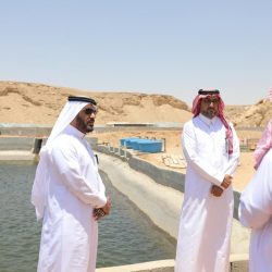 مشروع سلام للتواصل الحضاري يدشن منصة رابطة خريجي سلام