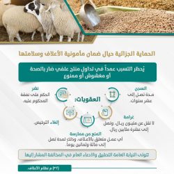 الاتحاد السعودي للهجن يُدشن الحساب الرسمي لمهرجان ولي العهد للهجن على منصة “تويتر”