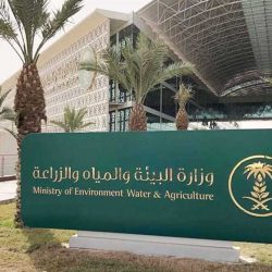 الدهمشي رئيساً تنفيذياً لمجلس الجمعيات الأهلية بالمملكة