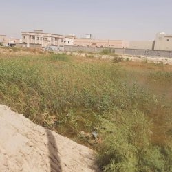 الاستفادة من الحصول على ٣ موافقات للتبرع بالأعضاء من متوفين دماغيا