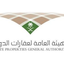 الإعلامي معيض العتيبي يبحر في عالم الإبل عبر مساحة تويترية