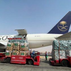 تركي آل الشيخ يطلق مهرجان العودة إلى الرياض
