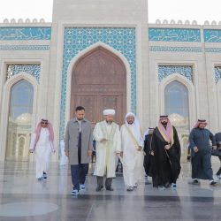 مضر والفتح أبطال البلياردو والأهلي والوحدة أبطال السنوكر