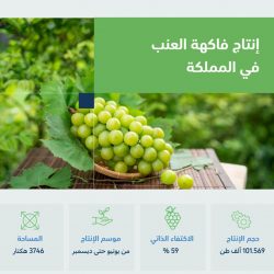 مهرجان اوتلت 2022 يحقق لهيئة الترفيه رقما جديدا في غينيس للأرقام القياسية