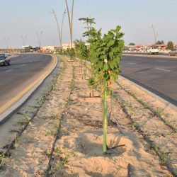 الأمر بالمعروف تشارك بالمصلى المتنقل في مهرجان أيامنا الحلوة بالدرعية