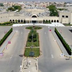 بلدية النعيرية تُنظم مسيرة كات ووك العالمية بشارع الملك عبد العزيز