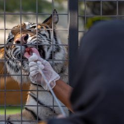 الإعلامي حماد السهلي يحل ضيفاً على مسرح الكلية التقنيةالرقمية للبنات بالرياض