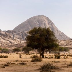 تسوير أكثر من 7 آلاف م للمباني وإزالة أكثر من 196 ألف م3 مخلفات بناء بالشرقية