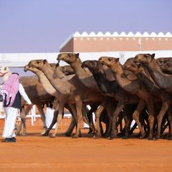 الصومال تعلن عن مقتل 40 عنصرا من حركة الشباب الإرهابية