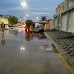 منتدى الحوار الاجتماعي الثاني عشر يناقش تحديات سوق العمل الفرص والتحديات