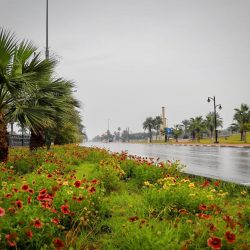 بمشاركة 32 دولة جامعة “المؤسس تطلق مهرجان تراث الشعوب الثالث