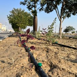سجن ممارسة صحية لمدة ٥ سنوات لاعتدائها على ١١ رضيعاً