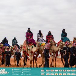 جامعة الملك خالد تقيم برنامج آفاق مهنية لمستقبل التخصصات الصحية