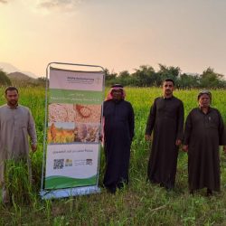 الأرصاد: أمطار خفيفة إلى متوسطة على العاصمة المقدسة