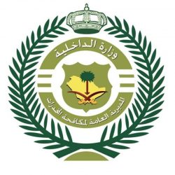 اختتام فعاليات عيدنا فرحة برأس تنورة بحضور أكثر من 6400 زائر