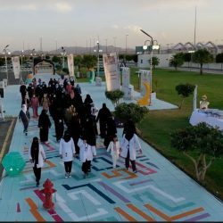 البدء بتطوير شاطئ نصف القمر وإعادة تأهيله