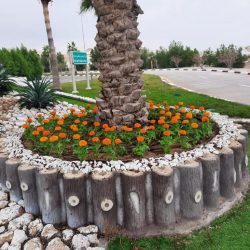 فتاة الاحساء تطلق مشروع كسوة العيد