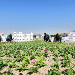 مغادرة الطائرة الإغاثية الثالثة ضمن الجسر الجوي السعودي لمساعدة الشعب السوداني