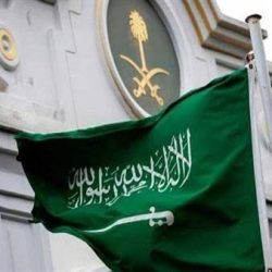 مجلس النيابة العامة يقر قواعد أعمال ملازمي التحقيق بعد تحديثها