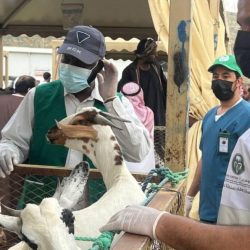 شركة مطارات الدمام: أكثر من 250 ألف مسافر عبر مطار الملك فهد الدولي منذ بداية ذو الحجة