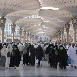 مجلس الأمن الدولي يدين انقلاب النيجر ويدعو إلى الإفراج عن الرئيس محمد بازوم