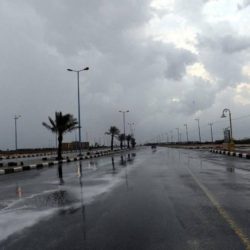 الرئيس التنفيذي لهيئة تطوير حائل يزور فعاليات مهرجان بيت حائل