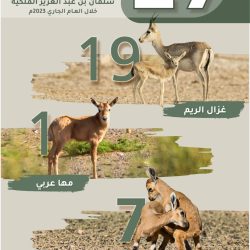 ” الداخلية ” تختتم معرضها المتنقل للتوعية بأضرار المخدرات ومخالفي أنظمة الإقامة والعمل وأمن الحدود بالعاصمة المقدسة