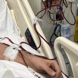 المرصد الوطني للعمل ينظم ورشة عمل حول أفضل الممارسات الدولية بالتعاون مع البنك الدولي