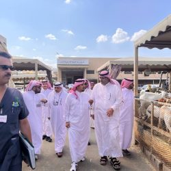 المشاركون في ورشة العمل الإقليمية لدمج مهارات القرن الـ 21 في المناهج الدراسية يؤكدون أهمية جودة المهارات ورسم التعلّم المتواصل من أجل التنمية والعمل