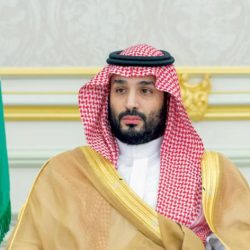 محافظ البنك المركزي: للمملكة جهود بارزة لضمان تحقيق أهداف قمة مجموعة العشرين