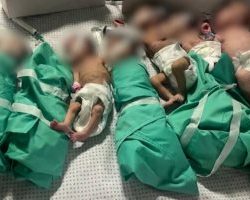 إطلاق عيادة مكافحة التدخين ببرنامج الخدمات الصحية للهيئة الملكية بالجبيل