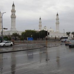 هيئة المحاسبين تُحيل عدداً من الأشخاص للنيابة العامة