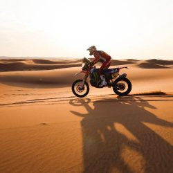 ارتفاع إجمالي العاملين في القطاع الخاص إلى 10.9 مليون خلال شهر ديسمبر