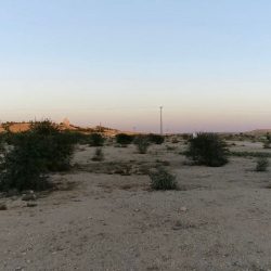 نائب أمير نجران يستقبل رئيس اتحاد الغرف السعودية