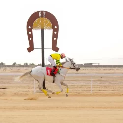جورجيا هول وتشارلي هال في مواجهة تاريخية ضمن بطولة أرامكو النسائية للجولف