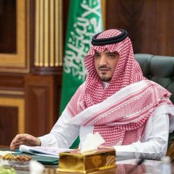 الأمير عبدالعزيز بن سعود يلتقي وزير الداخلية الفلسطيني