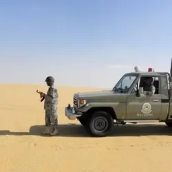 أكثر من ٢٥ ألف سجادة ذات جودة عالية بالمسجد النبوي لراحة المصلين