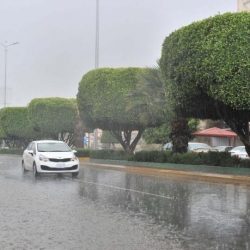 مؤسسة الديوانية تطلق مبادرة درب السلامه بالتعاون مع وزارة النقل