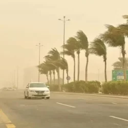 فريق العلا يُتوج بدرع دوري الدرجة الثالثة لكرة القدم