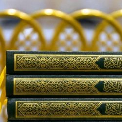 للمرة الثانية على التوالي .. إعادة انتخاب المملكة لمنصب نائب رئيس مجلس محافظي مجلس البحوث العالمي